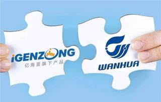 萬華與億海藍聯(lián)手打造可視化物流，開創(chuàng)數(shù)字供應(yīng)鏈管理新篇章